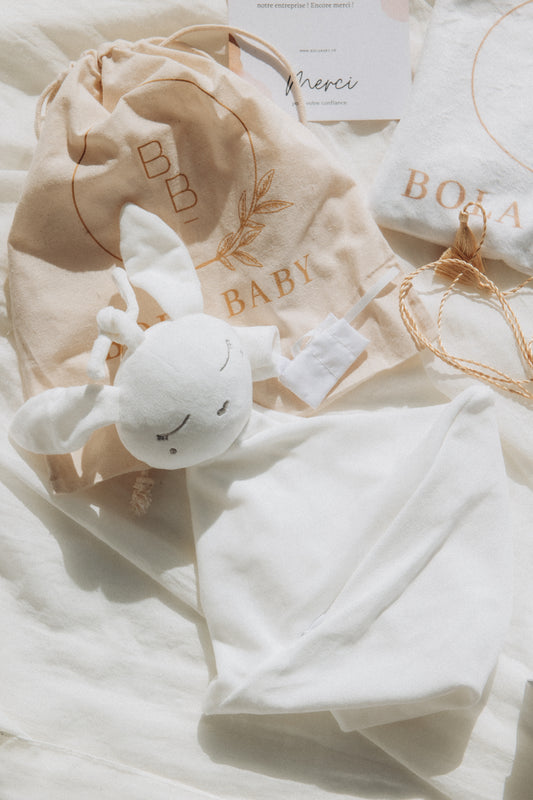 Coffret Doudou Bouillotte